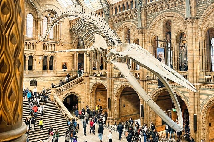 Private Natural History Museum Tour London — Dinosaurs, Gems & Space Rocks photo 6