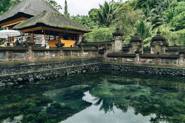 Full-Day Ubud Shore Excursion — Monkey Forest, Rice Terraces & Waterfalls