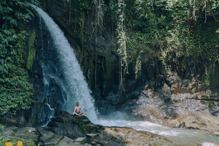 Full-Day Ubud Shore Excursion — Monkey Forest, Rice Terraces & Waterfalls photo 5