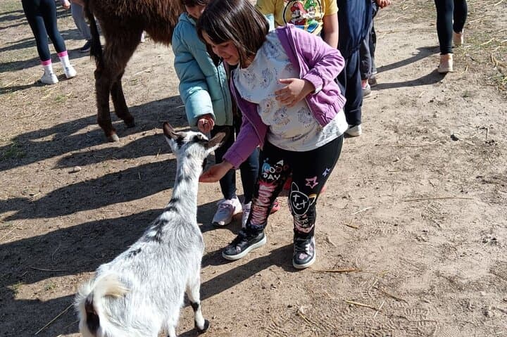 Cagliari Farm Visit: Pony Rides, Egg Collecting & Farm Life in Quartucciu photo 6