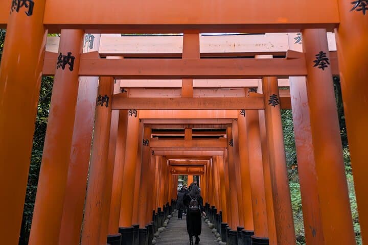 8‑Hour Private Kyoto Tour with Licensed Guide & Private Car — Nijo, Arashiyama, Kinkaku‑ji & Fushimi Inari photo 3