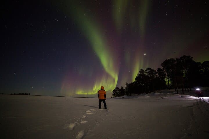 Rovaniemi Private 3-Hour Northern Lights Aurora Hunt photo 3
