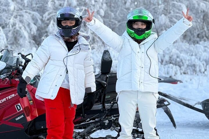 Thrilling Glacier Snowmobile Tour on the Frozen Chena River