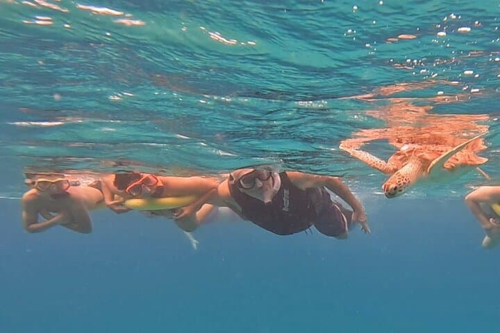 Private Aruba Snorkel with Turtles: Small-Group Marine Encounter photo 2