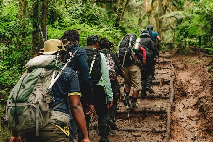 4-Day Mount Meru Trek: Summit Socialist Peak from Arusha photo 4