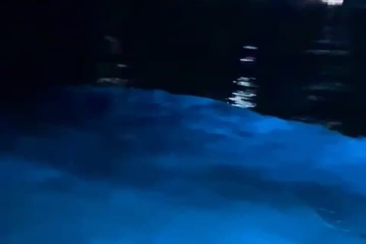 Luminos Lagoon Night Boat Tour — Falmouth Bioluminescent Experience photo 6