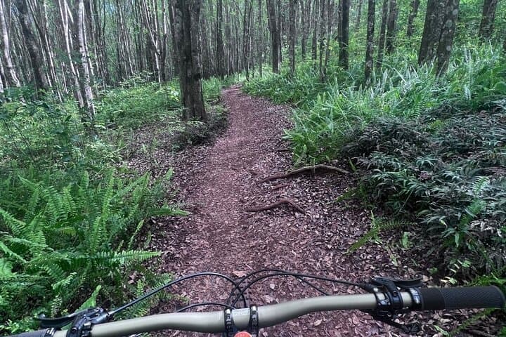 Maui Mountain Biking: Intro Ride Through Upcountry Trails photo 2