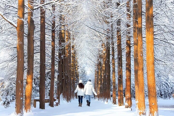 Day Trip to Nami Island, Eobi Ice Valley & Gangchon Rail Park — Railbike, Ice Walls & Scenic Paths photo 2