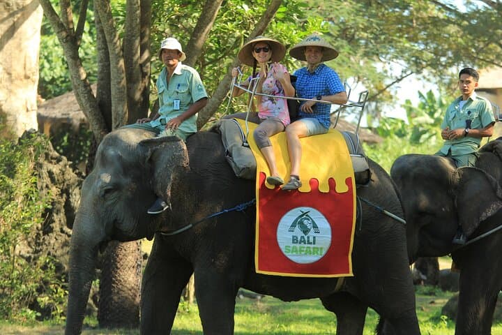 Bali City Pass: Classic Attractions, Sunrise Trek & More photo 2