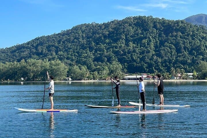 Stand-Up Paddle on Koh Chang: Klong Prao River SUP Experience with Transfer photo 5