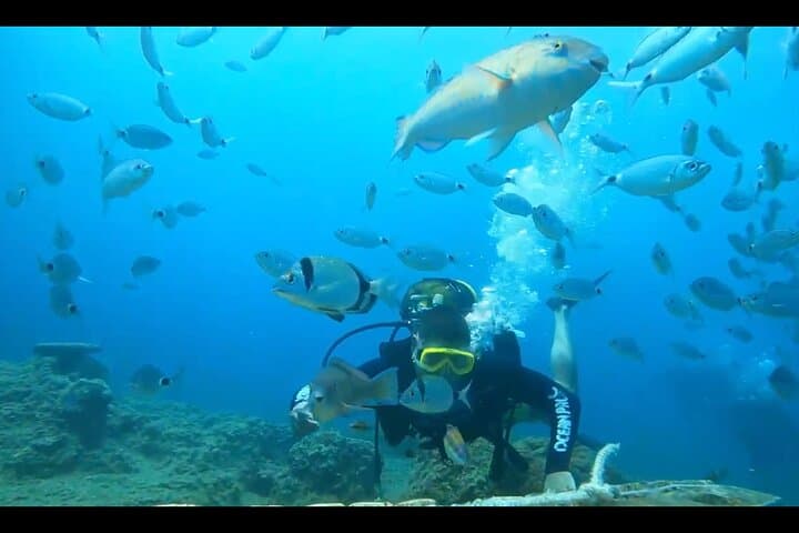 Dive the Side Underwater Museum: Guided Scuba Trip to Ancient Statues photo 3