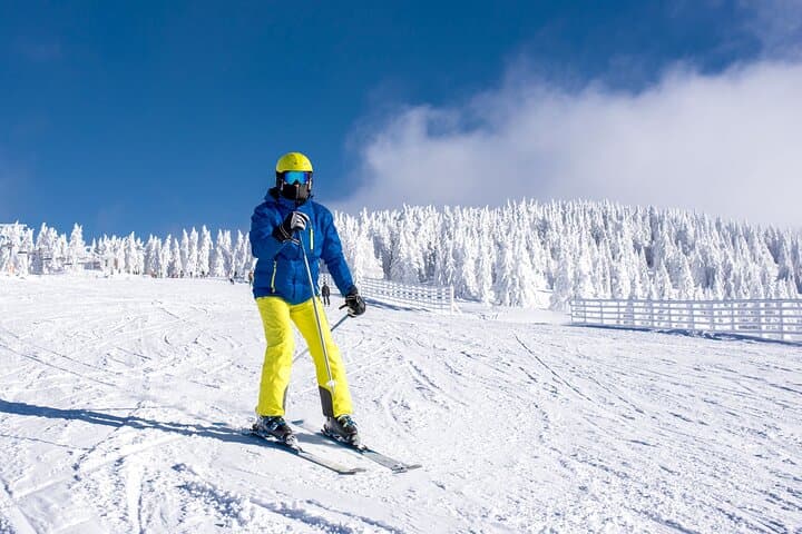 Private Uludağ Ski Day Trip from Istanbul — Full-Day Ferry & Mountain Transfer