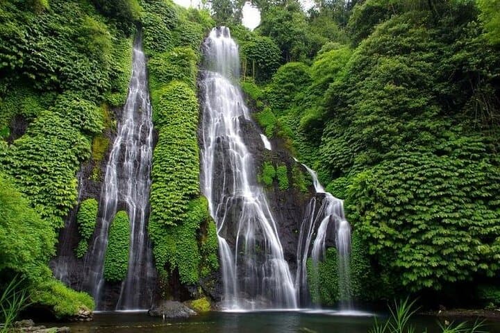 North Bali Scenic Rice Terrace Tour: Ulun Danu, Handara Gate & Banyumala Waterfall photo 2