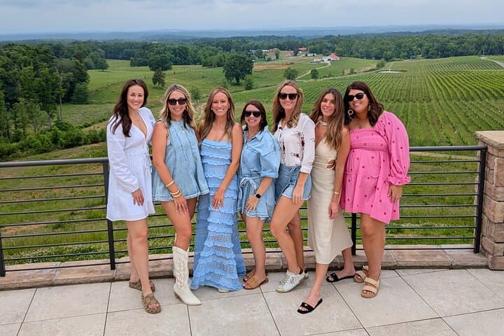 Charlotte Wine Tours: Explore Yadkin Valley Vineyards from Camp North End photo 2