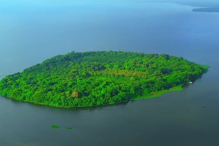 Kumarakom Day Trip from Kochi: Shikara Cruise, Bird Sanctuary & Pathiramanal photo 2