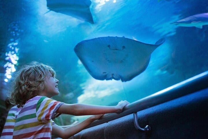 Antalya Aquarium & Fun Park: All‑Inclusive Day Tour from Side with Hotel Pickup photo 2
