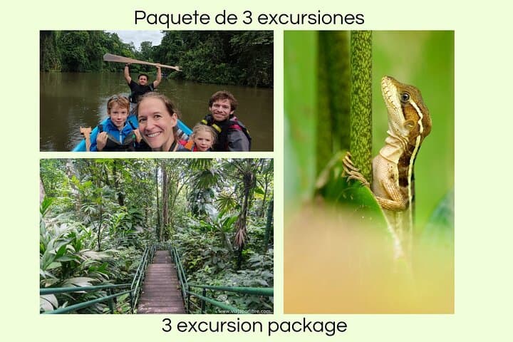 Tortuguero Canoe, Trails & Viewpoint: Full-Day Wildlife Package