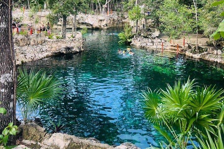 Explore 4 Cenotes at Casa Tortuga: Turtle House, Caverns & Open Sinks photo 3