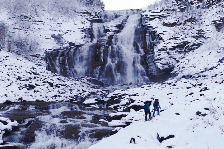 Valnesfossen and Saltstraumen Snowshoe Tour from Bodø photo 6