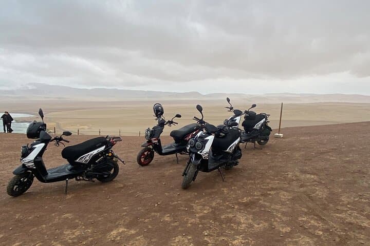 Self-Guided Scooter Tour of Paracas National Reserve: Red Beach, La Catedral & Wildlife