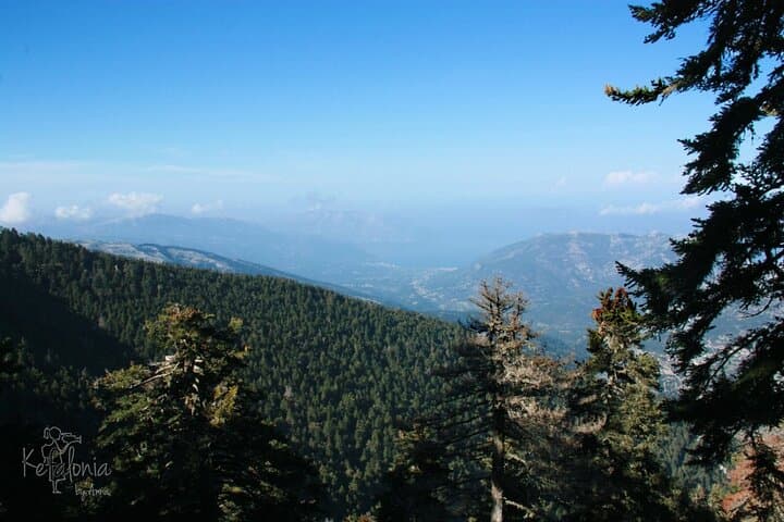 Kefalonia 4x4 Adventure: Mount Ainos Black Pine Forest & Village Lunch photo 5