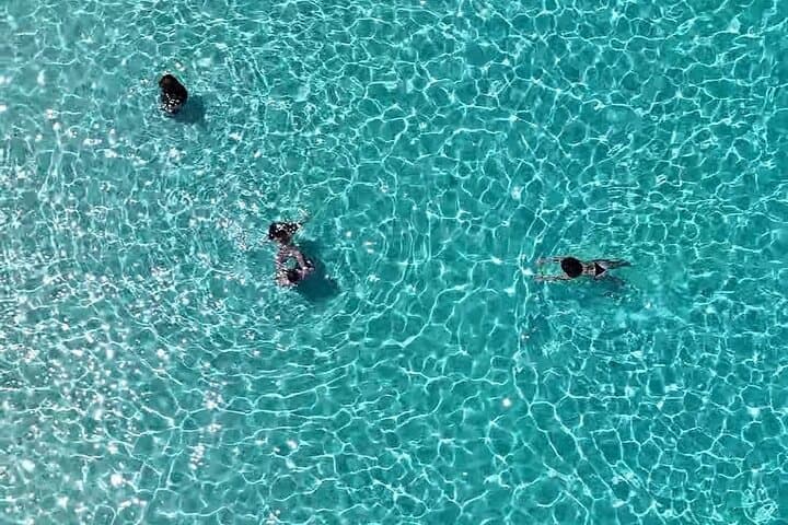 Similan Islands One-Day Snorkel Trip from Khao Lak photo 3