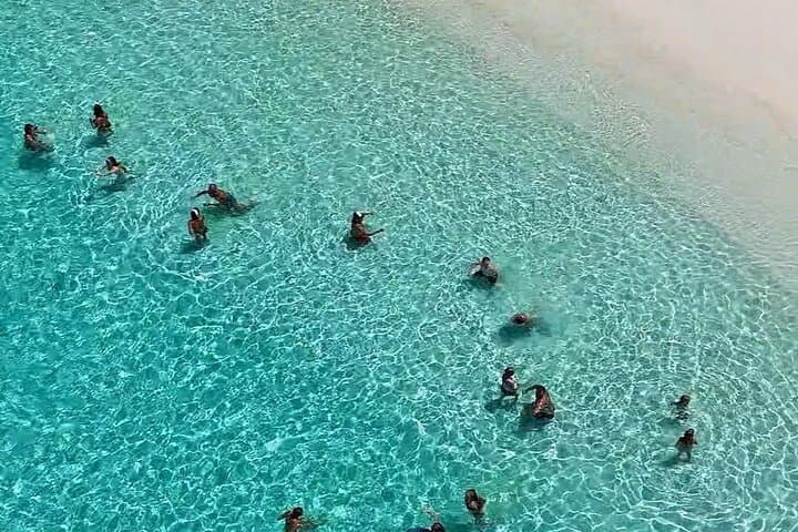 Similan Islands One-Day Snorkel Trip from Khao Lak photo 4