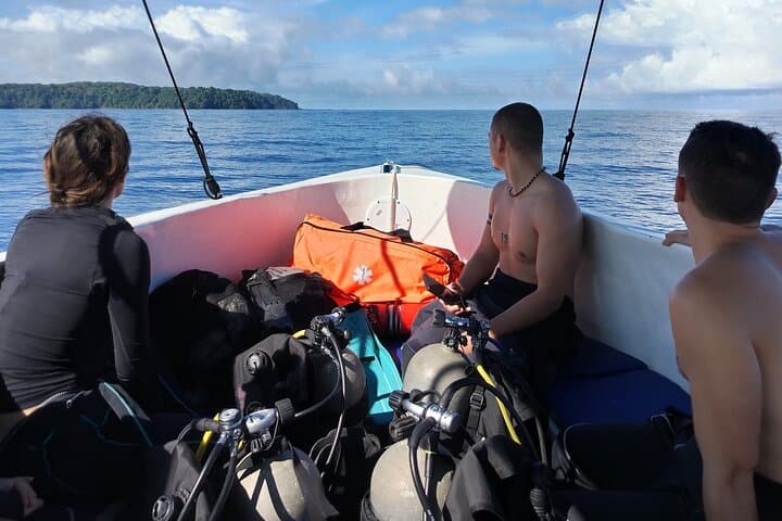 Discovery Scuba Diving at Caño Island: First Dive from Drake Bay photo 5