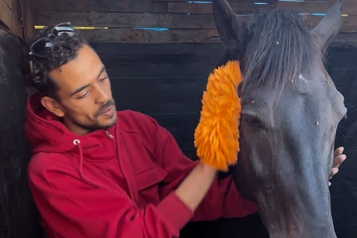 Guided Horse Grooming & Connection Experience in Essaouira photo 4