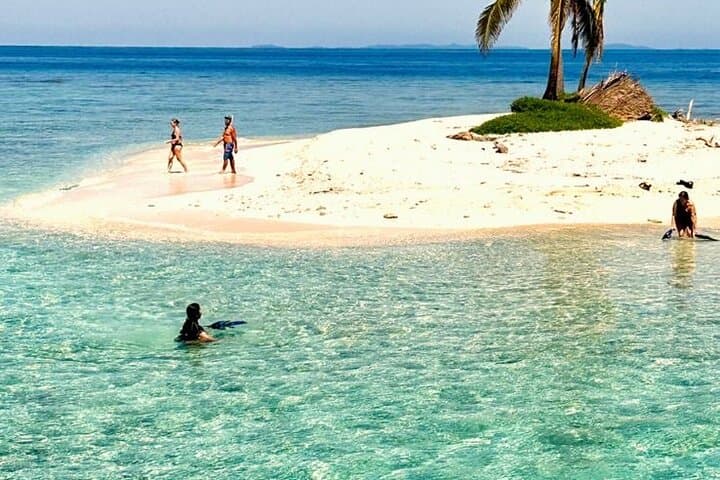 Private Snorkeling Charters Roatan — Hidden Coral Gardens & Marine Life photo 3