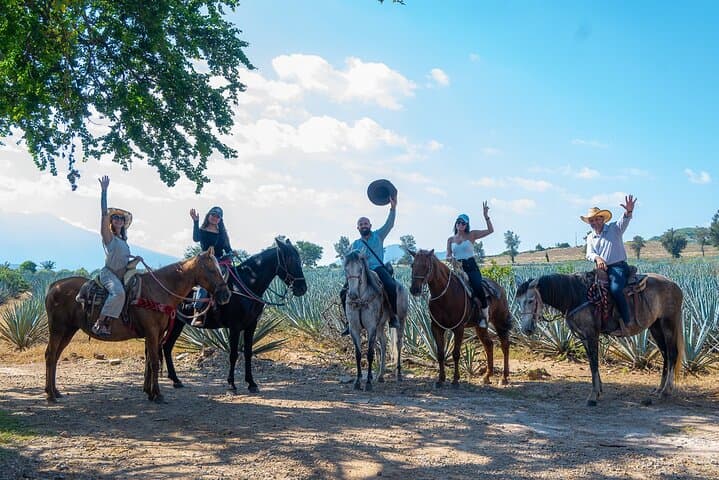 Horseback Through Tequila Country: Agave Fields & Tasting in El Arenal