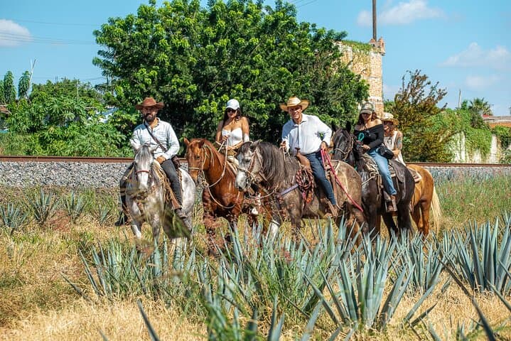Horseback Through Tequila Agave Fields: Rural Ride & Tasting in El Arenal photo 6