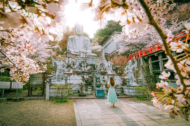 Nara Cherry Blossom Highlights: Full-Day Spring Tour from Osaka photo 3