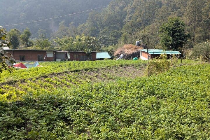 Jungle Trek to Gujjar Village: Offbeat Valley River Hike from Rishikesh photo 2