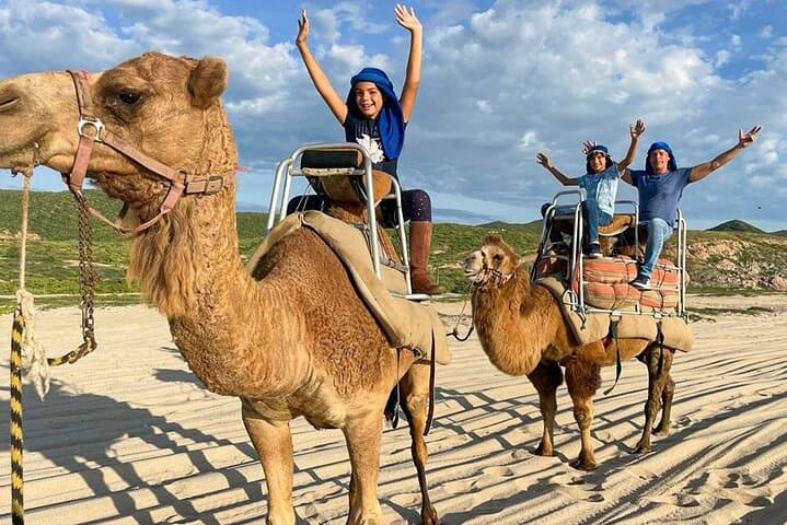 Cabo Camel Encounter: Beach Safari Ride with Lunch & Alcohol Tasting photo 3