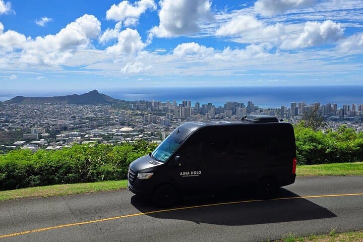 Private North Shore Turtle Bay Airport Transfer — Mercedes Sprinter for Groups