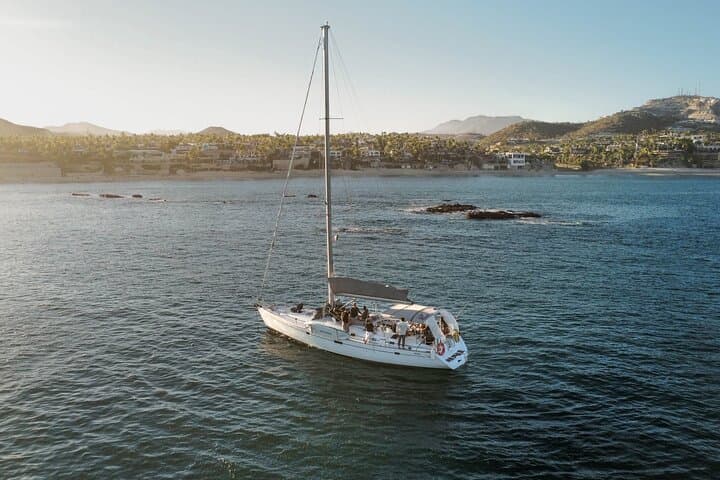 Exclusive Los Cabos Whale Watching Aboard the Aura Sailing Boat photo 6