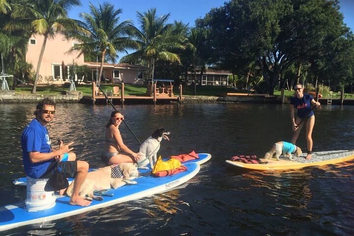 Fort Lauderdale Manatee Encounter: Eco Kayak & Paddle Board Adventure photo 5