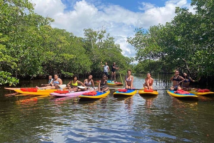 Fort Lauderdale Manatee Encounter: Eco Kayak & Paddle Board Adventure photo 2