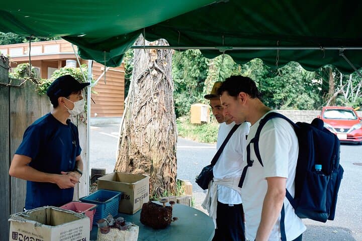 Samurai Cycling & Mushroom Farm BBQ Day Trip in Sakura, Japan photo 3