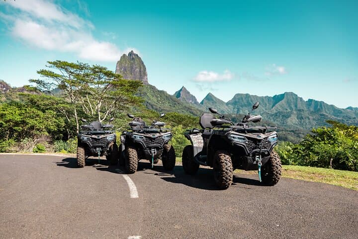 Moorea ATV Adventure: Cook Bay Views, Pineapple Fields & Local Tastings photo 6