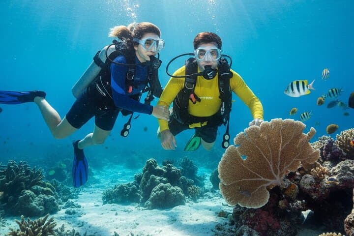 Half-Day Intro Scuba Dive at Koh Waeo, Phuket — 2 Beginner Dives