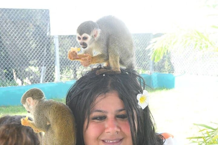 Squirrel Monkey Sanctuary Visit from Amber Cove — Ethical Encounters in Puerto Plata photo 4