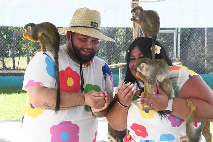 Squirrel Monkey Sanctuary Visit from Amber Cove — Ethical Encounters in Puerto Plata photo 5
