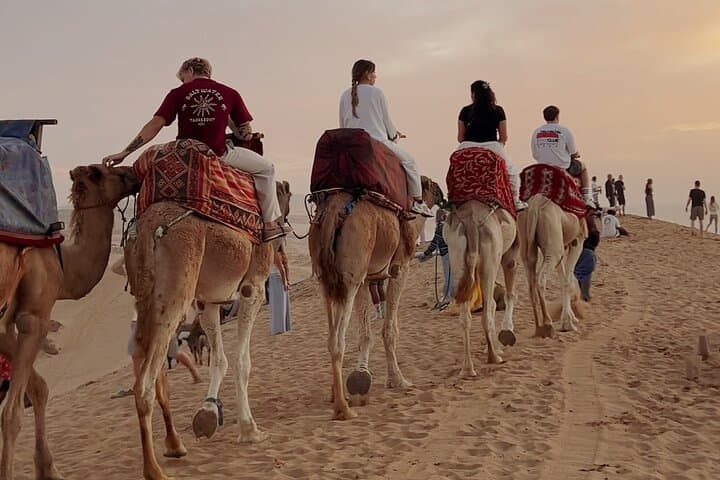 Timlalin Dunes Camel Ride and Sunset Tea — Day Trip from Agadir
