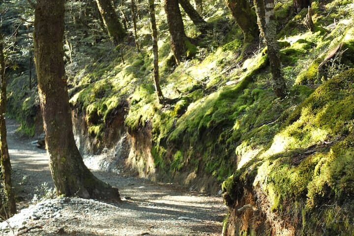 Routeburn Valley Full-Day Hike from Queenstown — Small-Group Guided Walk photo 5