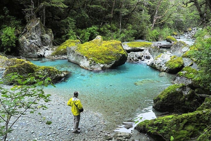 Routeburn Valley Full-Day Hike from Queenstown — Small-Group Guided Walk photo 6