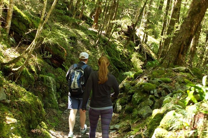 Routeburn Valley Full-Day Hike from Queenstown — Small-Group Guided Walk photo 3