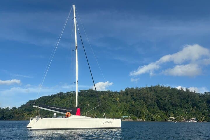 Half-Day Catamaran Sailing in Sailinity Lagoon — Raiatea Wildlife & Snorkel photo 4