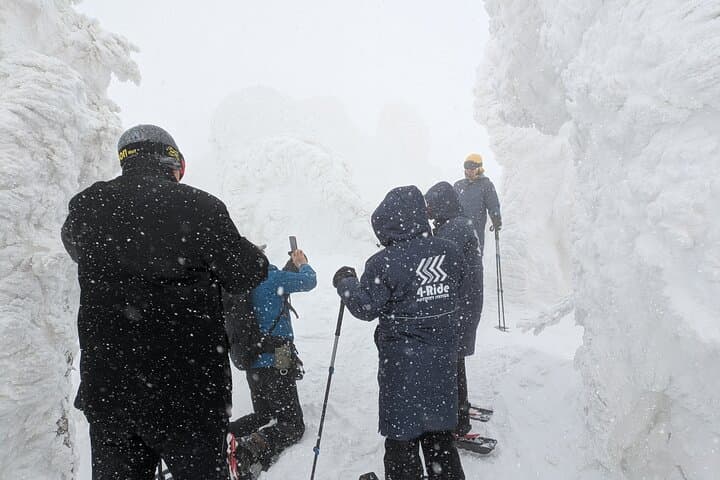 Hakkoda Snowshoe Adventure: Guided Winter Trek from Aomori photo 6